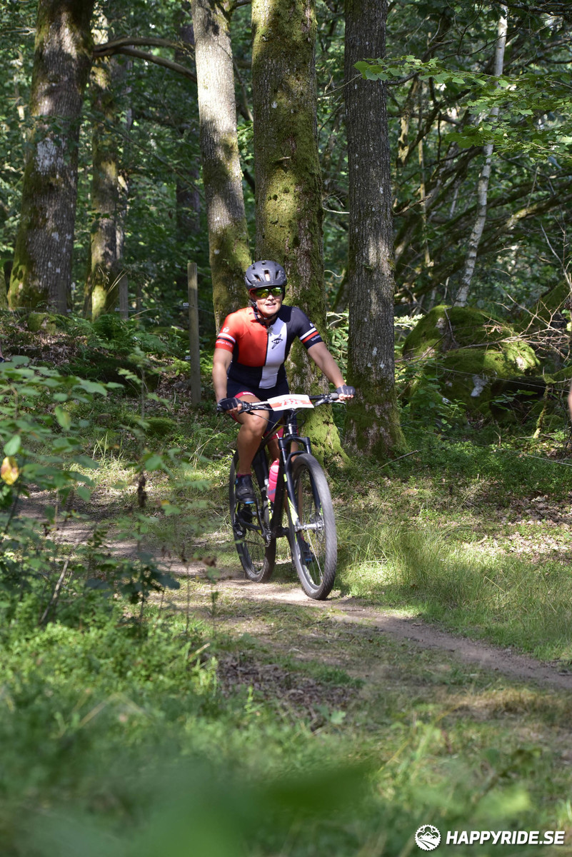 Bild från Bockstensturen 2019